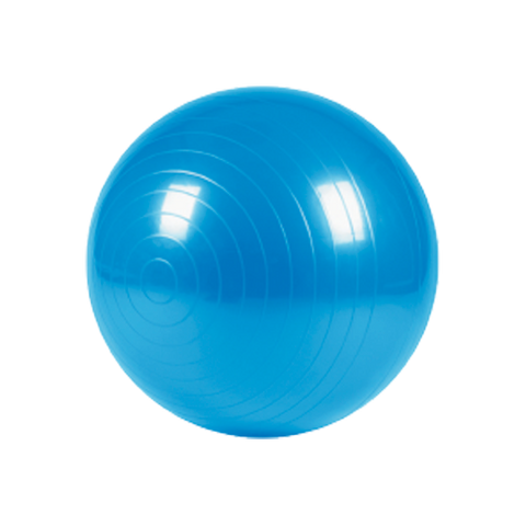 SPORT LINK PILATES 65 CM